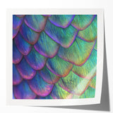 Extra large glossy photo print of vibrant colored flowers, ideal for art wall dining room or classy bathroom wall art.