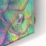 Close-up of an animal in muted earth tones on a large acrylic glass, suitable as mid-century modernist dining room art.