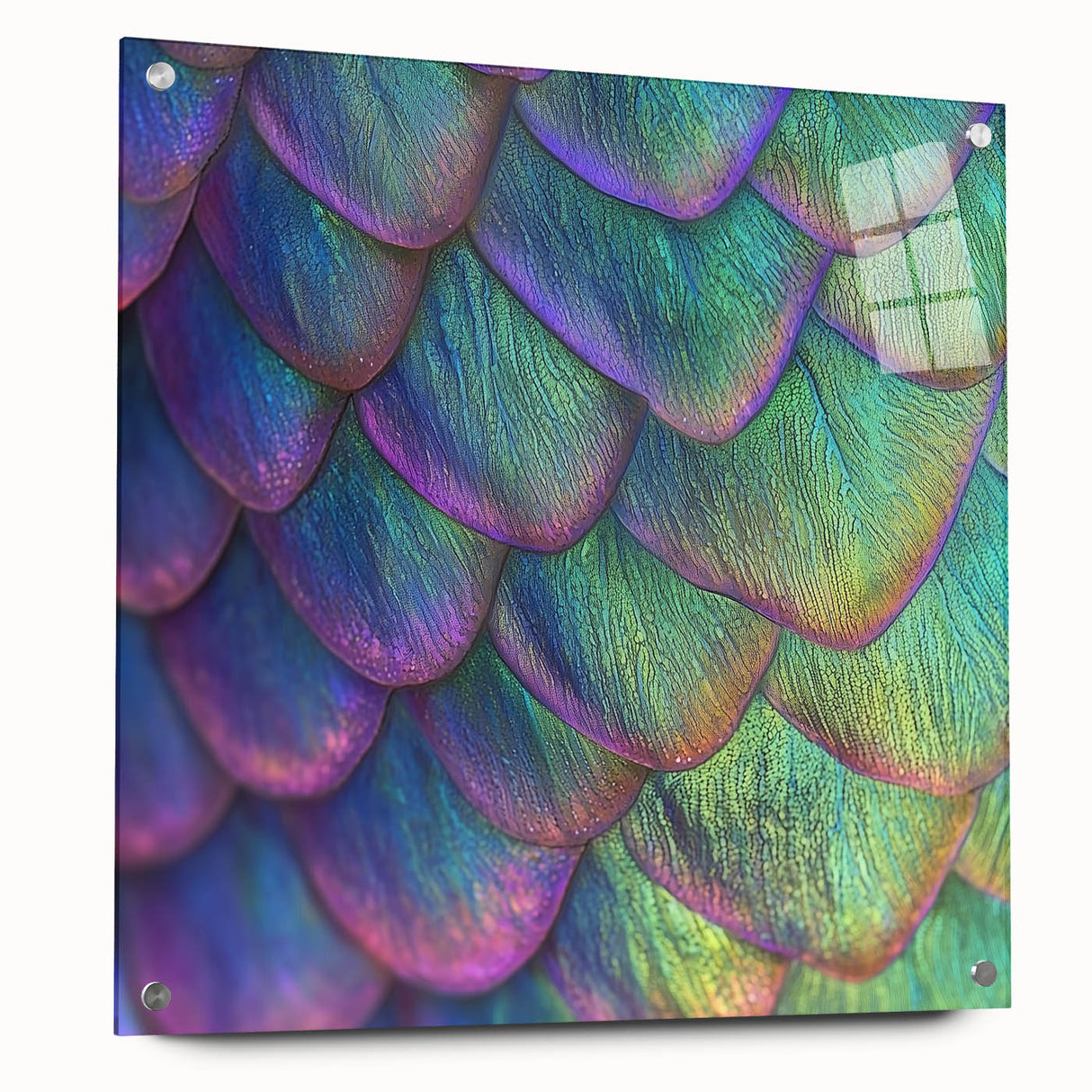 Large abstract wall art of a vibrant peacock on acrylic glass, ideal for bedroom or dining room decor.