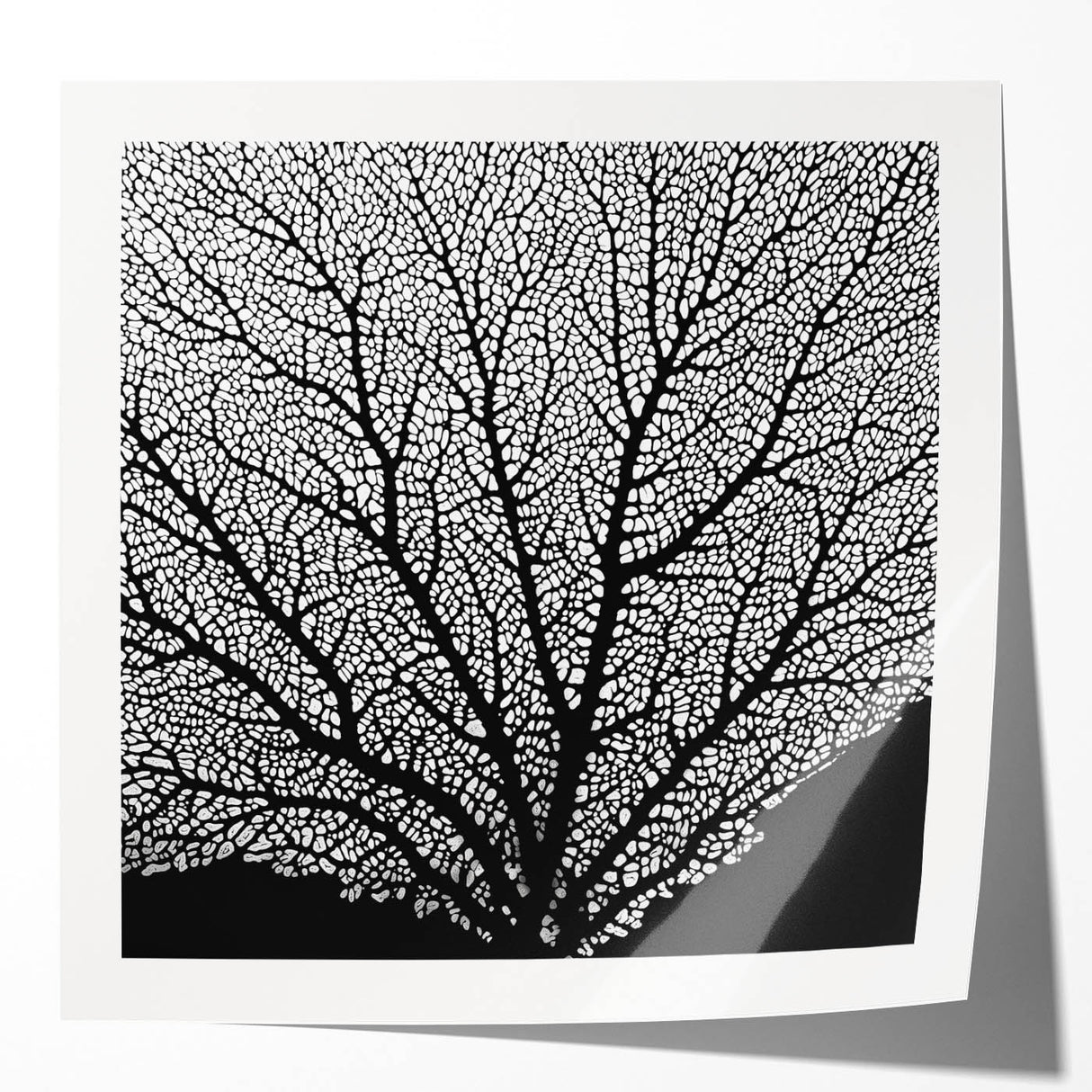 Extra large wall art featuring a close-up of pink and white florals on a glossy print.