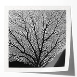 Extra large wall art featuring a close-up of pink and white florals on a glossy print.