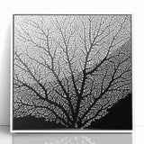 Art deco poster featuring close-up floral imagery in soft pastel colors on a white framed acrylic.