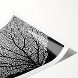 Extra large rolled print featuring line art flowers in black and white, ideal for large living room wall art.