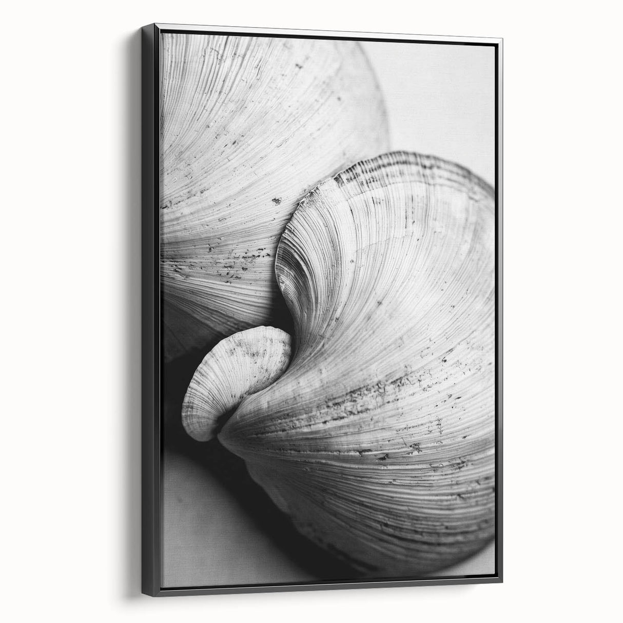 Black and white framed canvas featuring a close-up landscape, ideal for bedroom wall decor.