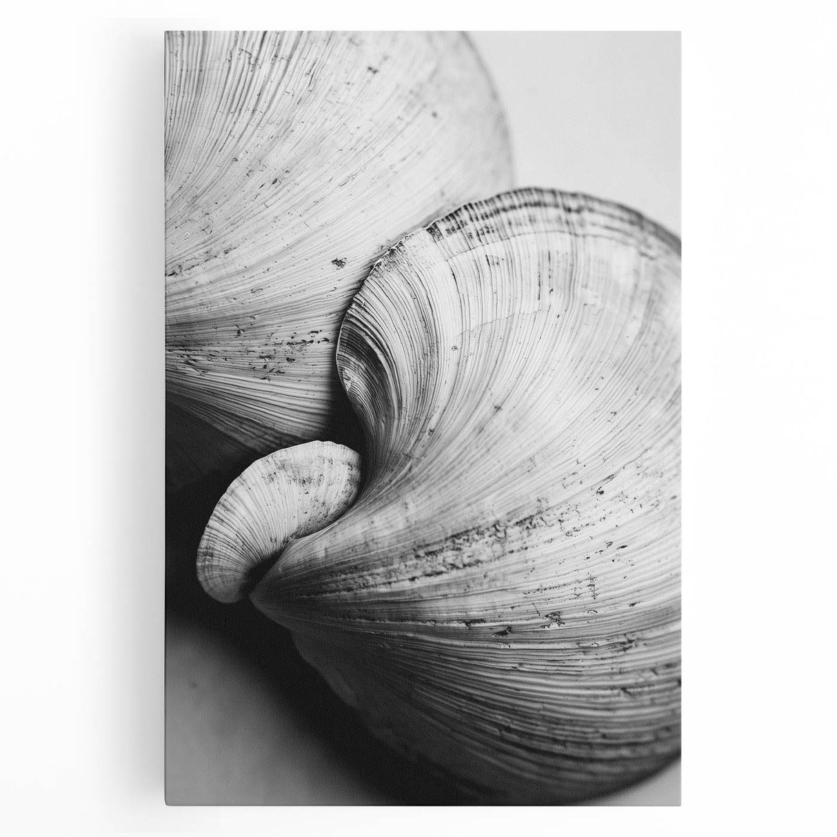 Black and white close-up photo of a leaf, printed on large stretched canvas, ideal for kitchen wall art.