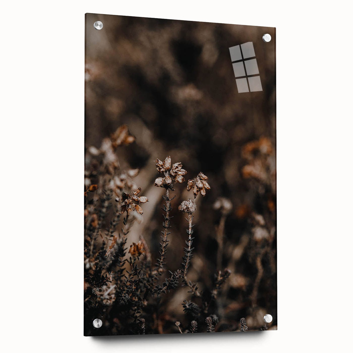 Large abstract wall art depicting autumnal trees on acrylic glass, in warm orange and red tones.