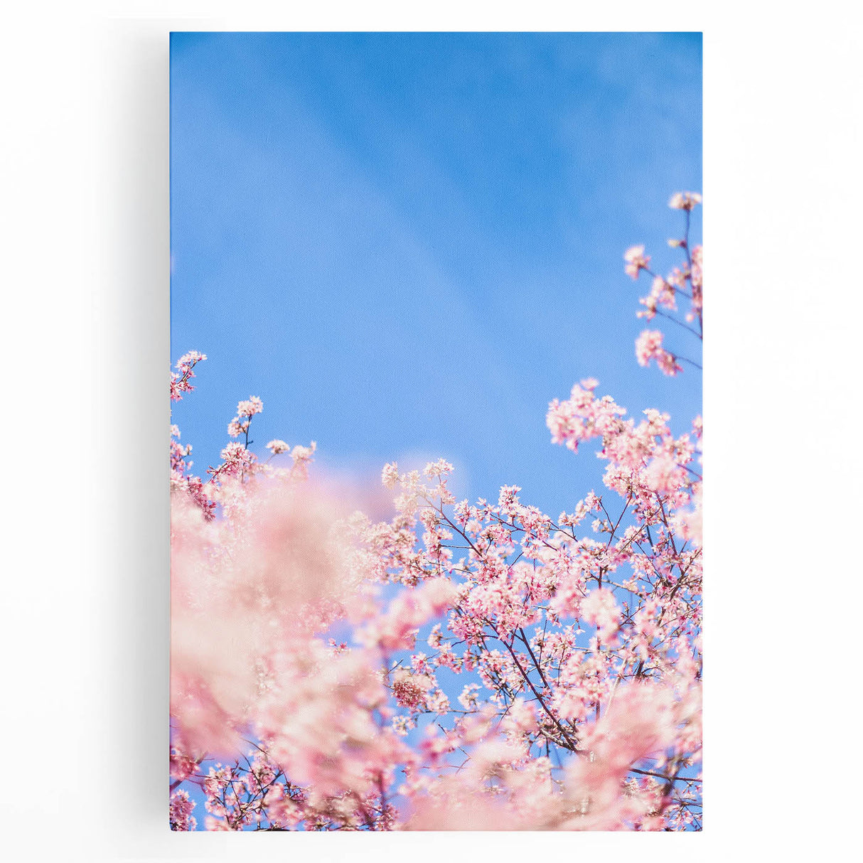 Large black and white abstract canvas depicting spring themes, ideal for kitchen wall art.