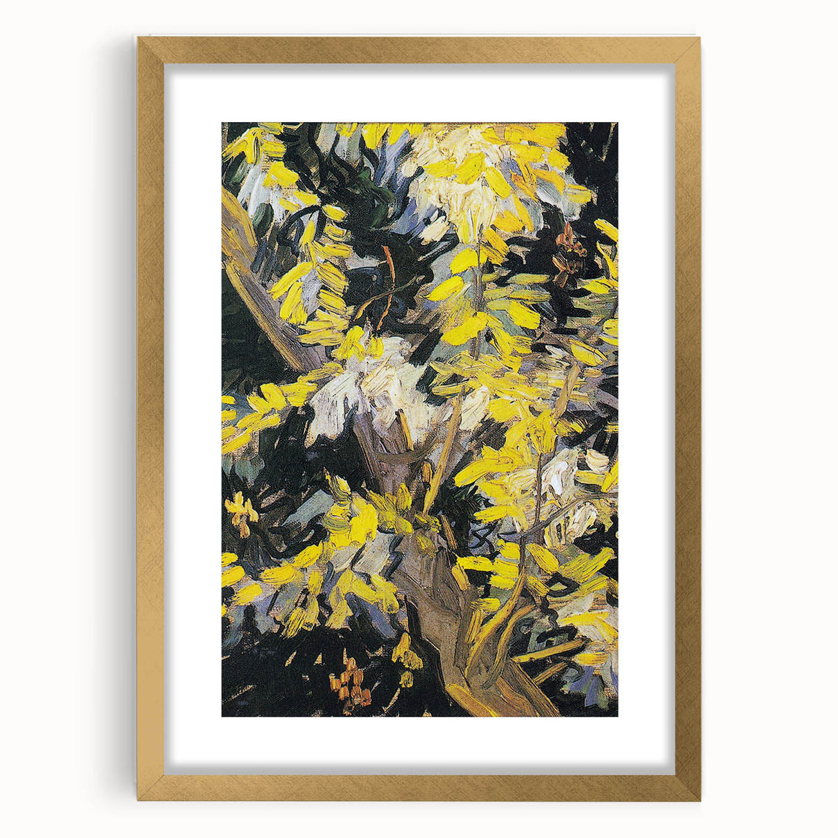 Impressionist Wall Art - Blossoming Acacia Branches by Van Gogh