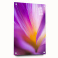 Radiant Petal Pulse – Abstract Floral Glow in Fluid Color Motion