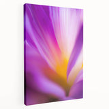 Radiant Petal Pulse – Abstract Floral Glow in Fluid Color Motion
