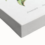 Romanticism Art: Floral Bouquet Illustration Canvas Print