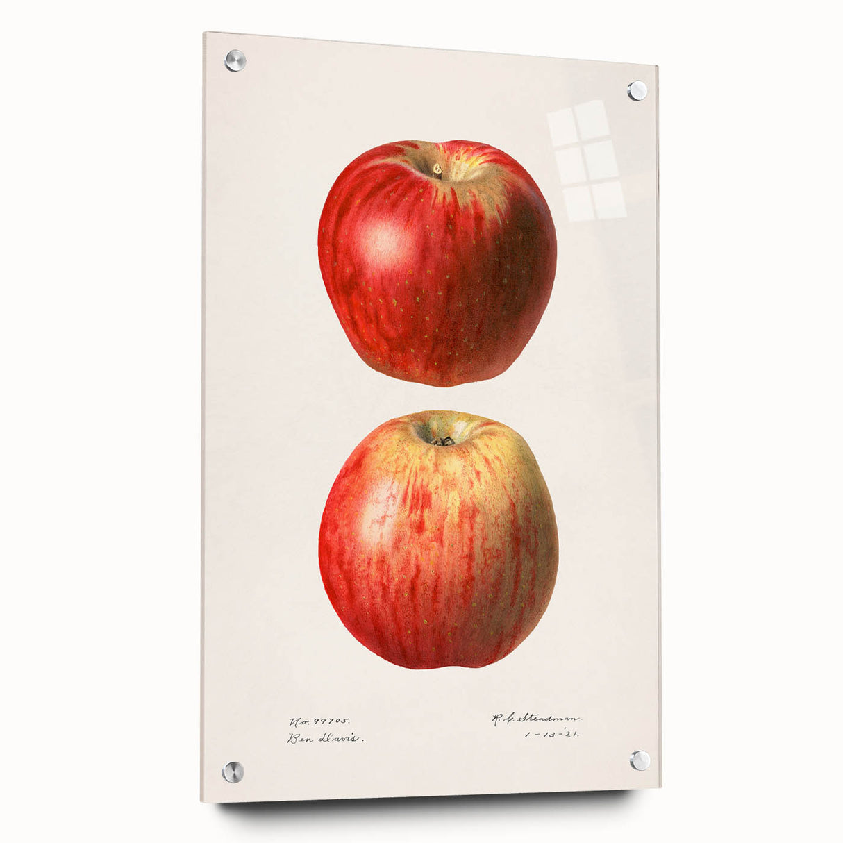 Acrylic glass print of assorted fruits in vibrant colors, suitable for dining room decor.