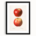 Extra large framed wall art featuring abstract textured art prints of colorful fruits, ideal for living room decor.