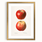 Extra large framed wall art depicting abstract fruit designs in vibrant colors, ideal for living room decor.