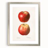 Textured art print of abstract fruits in vibrant colors, framed with a silver mat, suitable for bedroom decor.