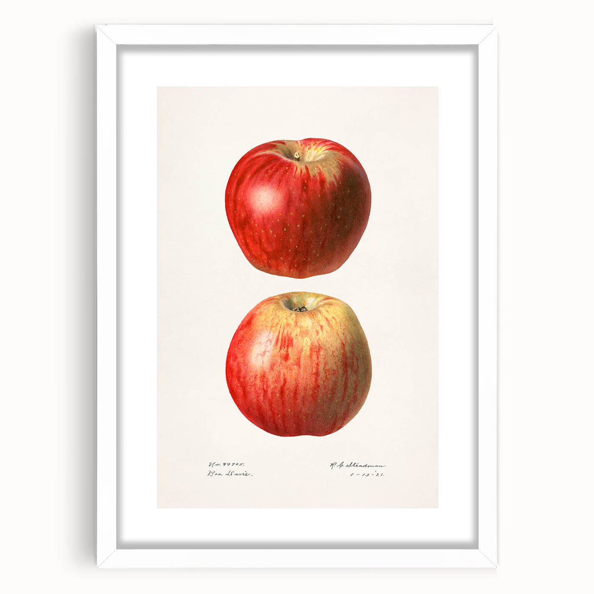Abstract art print of assorted fruits in vibrant colors, framed with a white mat, suitable for dining room decor.