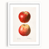 Abstract art print of assorted fruits in vibrant colors, framed with a white mat, suitable for dining room decor.