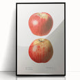 Large abstract wall art featuring assorted fruits in vibrant colors on a black acrylic framed print.