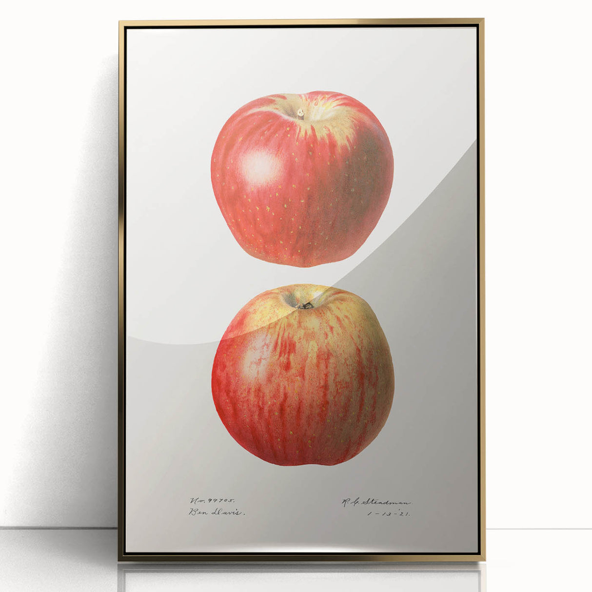 Large art print of assorted fruits in vibrant colors on a gold framed acrylic, in a mid-century modernist style.