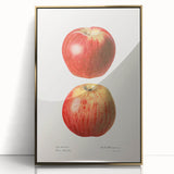 Large art print of assorted fruits in vibrant colors on a gold framed acrylic, in a mid-century modernist style.