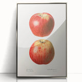 Mid-century modernist art featuring an assortment of fruits in vibrant colors on a silver-framed acrylic print.