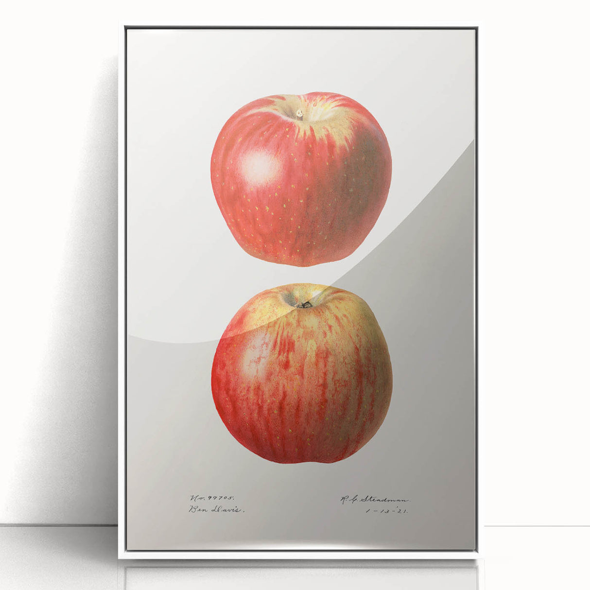 Art deco poster featuring an array of fruits in vibrant colors on a white acrylic framed print.