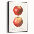 Black and white vintage poster art featuring assorted fruits, framed canvas, ideal for bedroom wall decor.