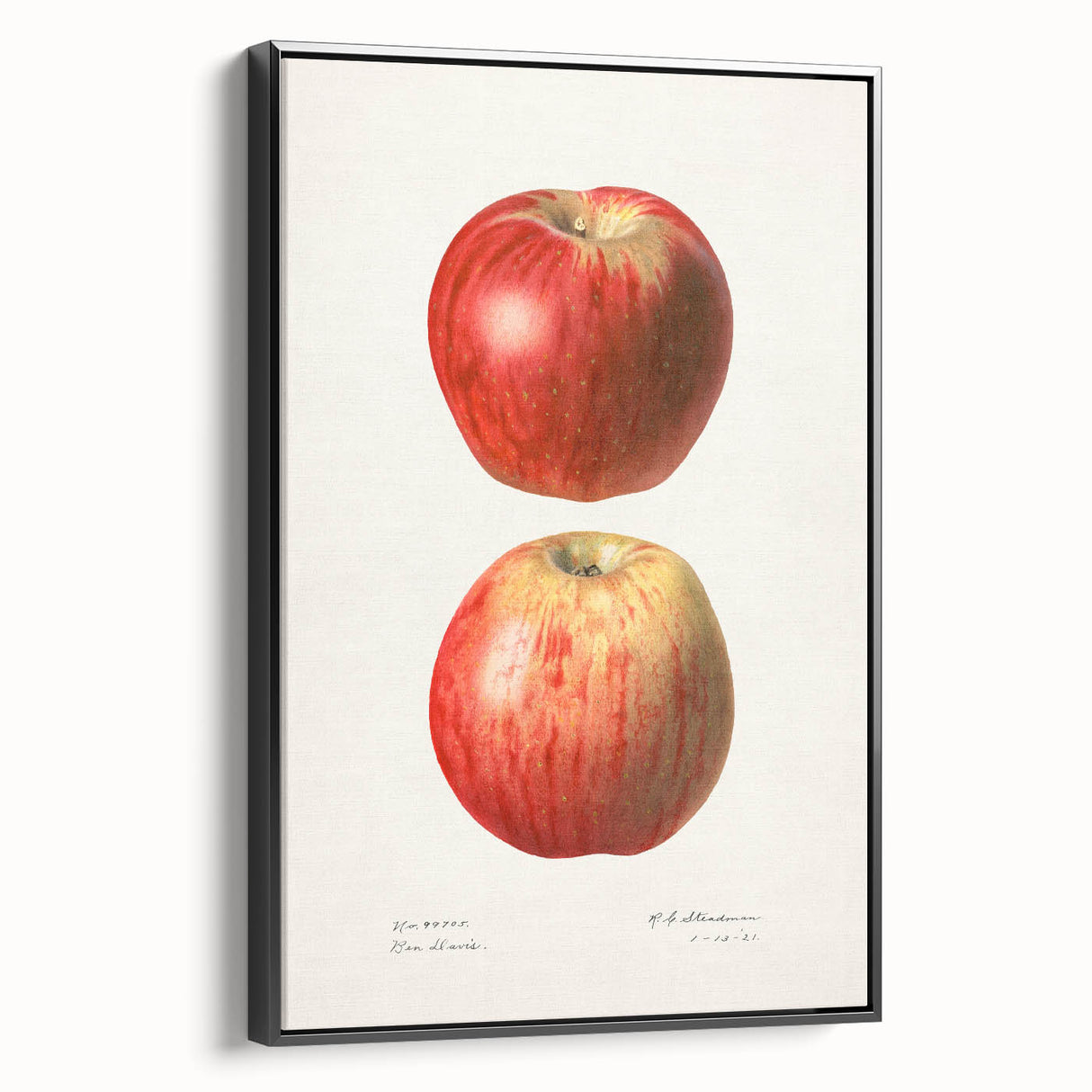 Black and white vintage poster art featuring assorted fruits, framed canvas, ideal for bedroom wall decor.