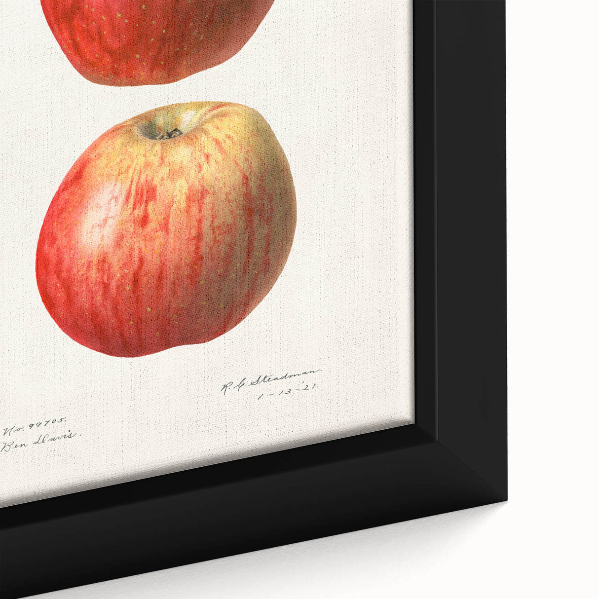 Extra large black wall art featuring a close-up of colorful, textured fruits on framed canvas, ideal for living room decor.