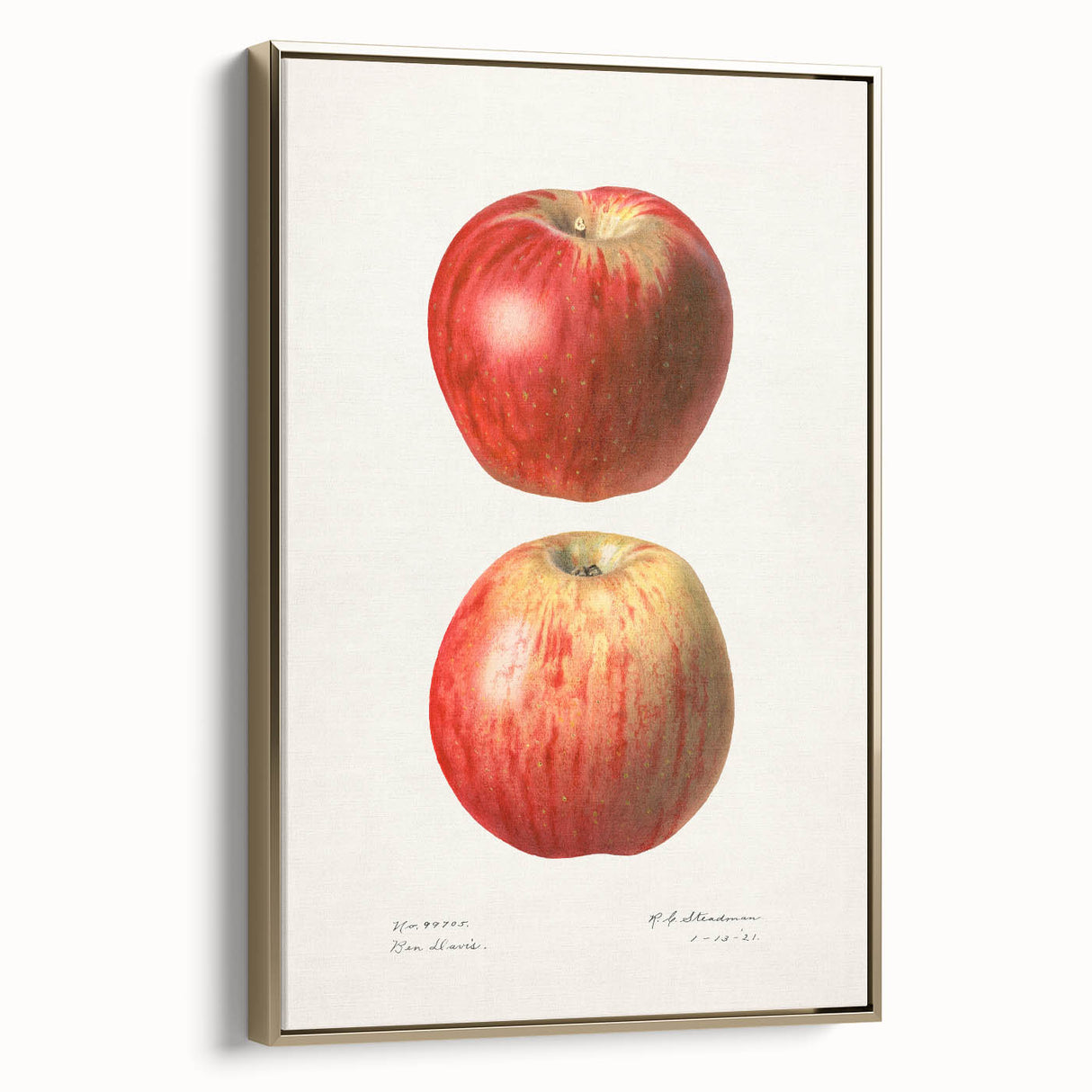 Framed canvas featuring vintage-style landscape painting of assorted fruits on a black background.