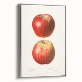 Landscape art painting of colorful fruits on a black background, framed in silver, ideal for kitchen wall decor.