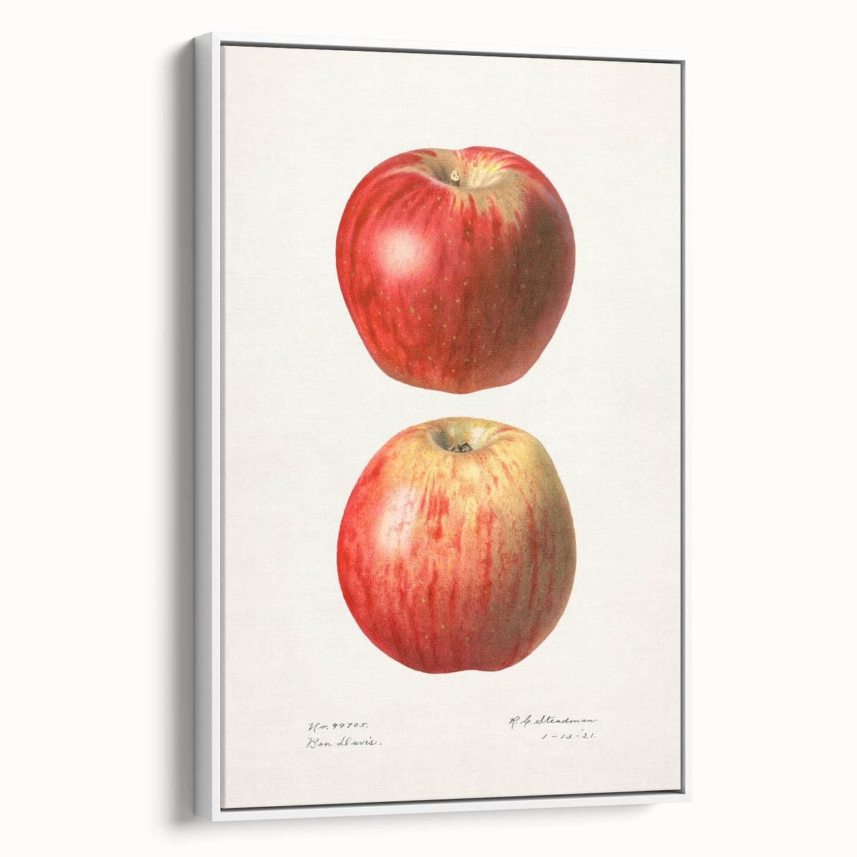 Vintage poster art featuring assorted fruits on extra large framed canvas, ideal for living room decor.