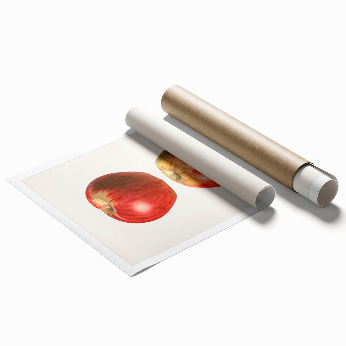 Extra large rolled print featuring assorted fruits in vibrant colors.