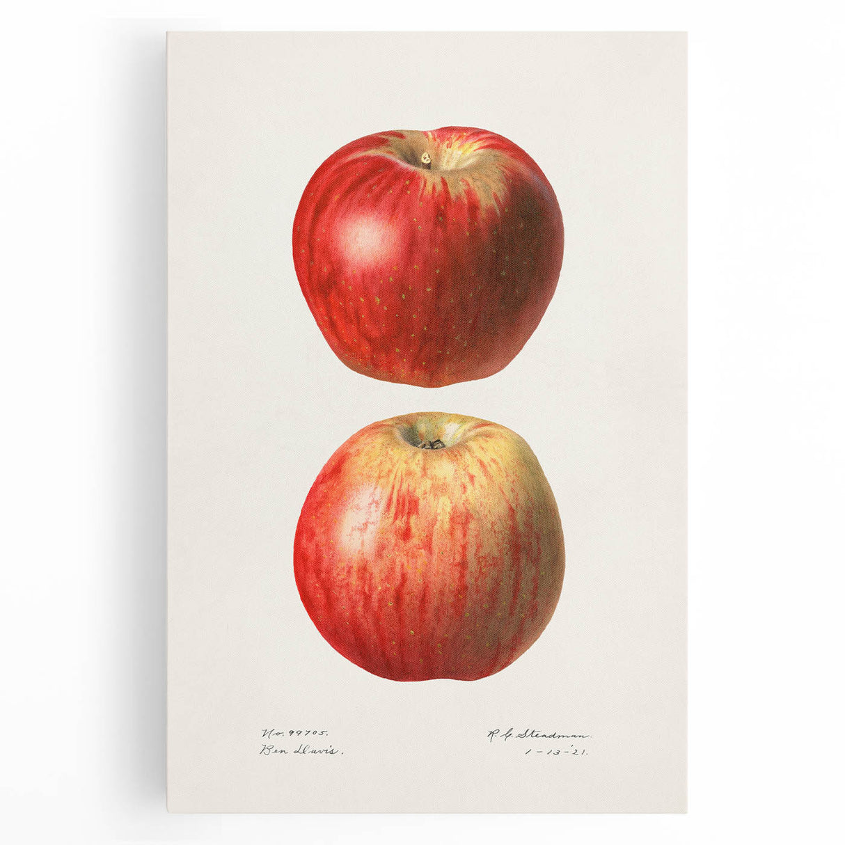 Large black and white canvas print of assorted fruits, ideal for kitchen wall art.