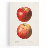 Large black and white canvas print of assorted fruits, ideal for kitchen wall art.
