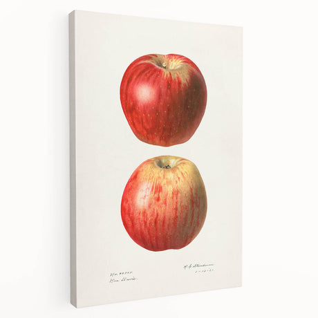 Large canvas print featuring a variety of colorful fruits, ideal for kitchen wall art.