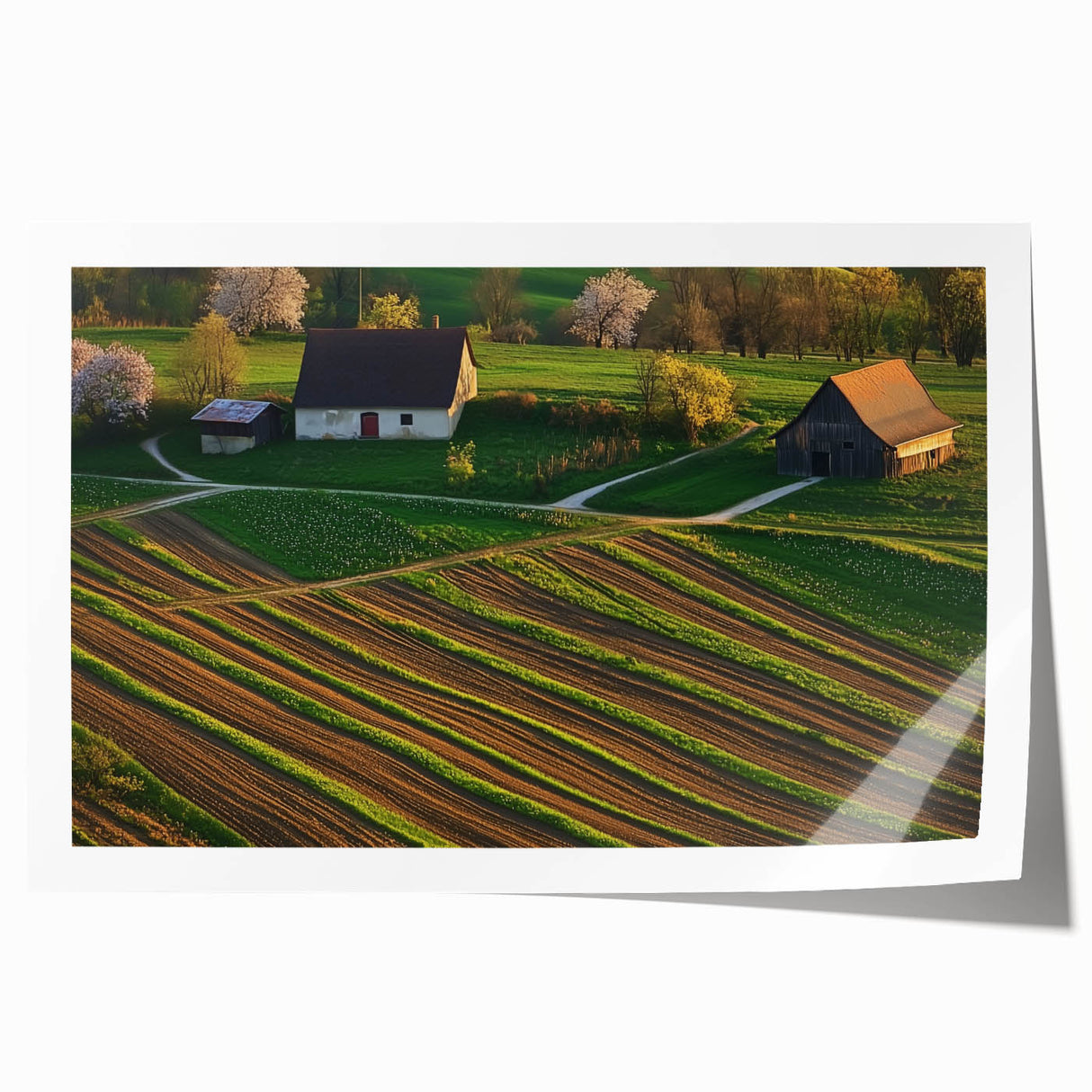 Landscape barn print on textured canvas, showcasing a rustic barn in a serene countryside setting with vibrant green fields and a clear blue sky, rolled for easy display.