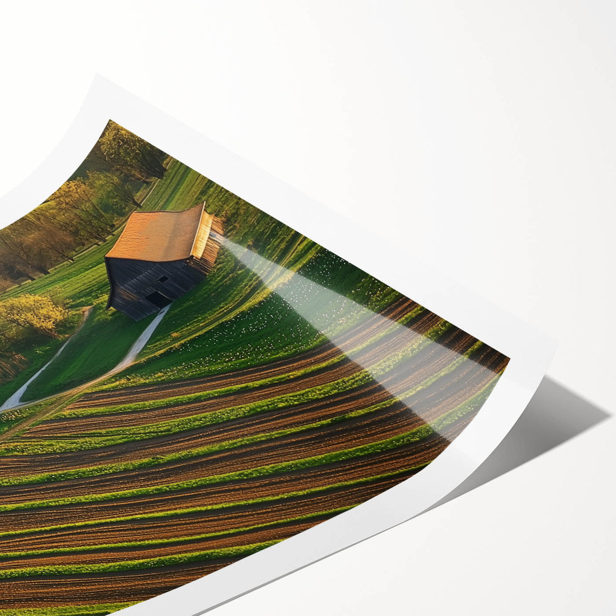 Landscape barn print on rolled canvas showcasing vibrant colors and intricate details, elegantly packaged in a protective cardboard tube for safe delivery. Ideal for rustic home decor and art enthusiasts.
