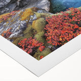 Landscape canvas print showcasing vibrant canyons in warm hues, ideal for home decor. The artwork captures the natural beauty and depth of the canyon, perfect for adding an earthy touch to any room.