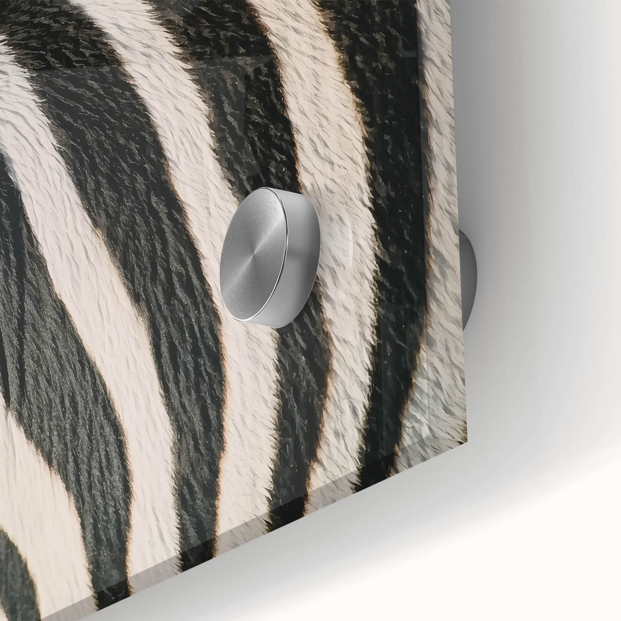 Large abstract acrylic glass print featuring close-up animal imagery in muted earth tones, ideal for dining room art.