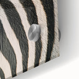 Large abstract acrylic glass print featuring close-up animal imagery in muted earth tones, ideal for dining room art.