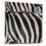Close-up of a zebra in black and white tones on acrylic glass, suitable for bedroom or dining room decor.
