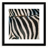 Extra large abstract art print featuring colorful, textured close-ups of animals, framed in black.