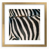 Extra large abstract art print featuring close-up animal textures in gold frame, ideal for living room decor.