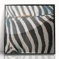 Large abstract wall art featuring a close-up of animals in black and gray tones on a framed acrylic.