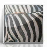 Acrylic print of a close-up animal image in art deco style, with white frame, suitable for nursery wall art.
