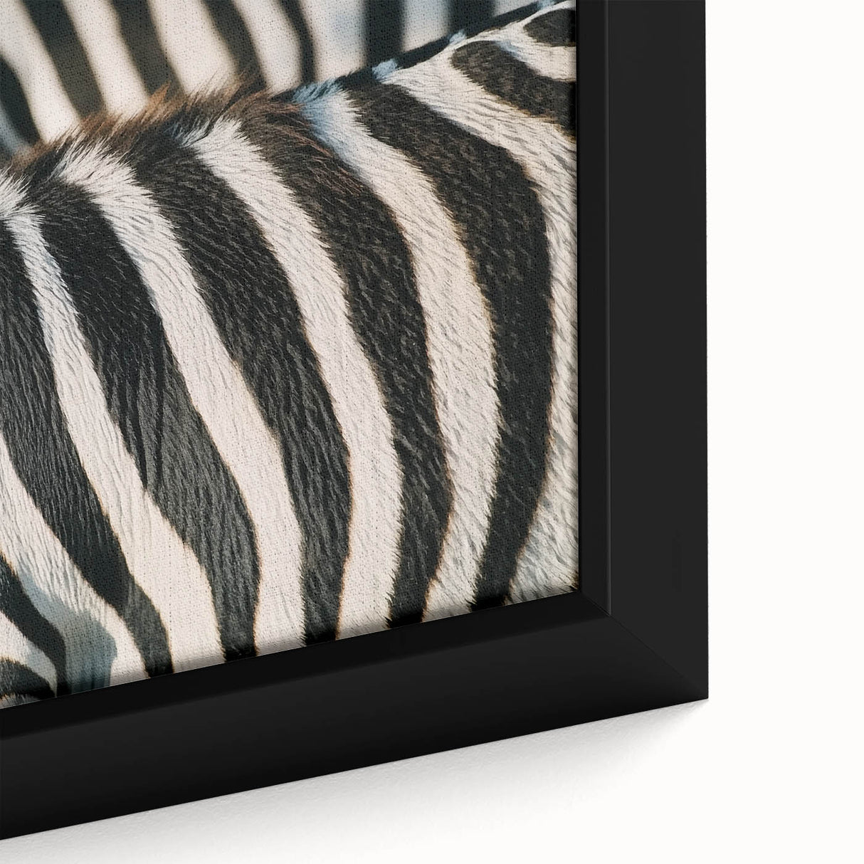 Close-up of a black-textured canvas featuring a colorful, abstract animal design.