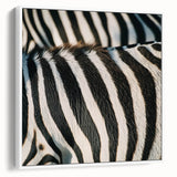 Vintage poster art of a colorful bird on a black background, printed on extra large framed canvas.