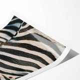 Extra large wall art featuring line art flowers in black on white, rolled print format, ideal for large living room decor.