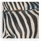 Black and white photo of a zebra on stretched canvas, ideal for kitchen wall art.